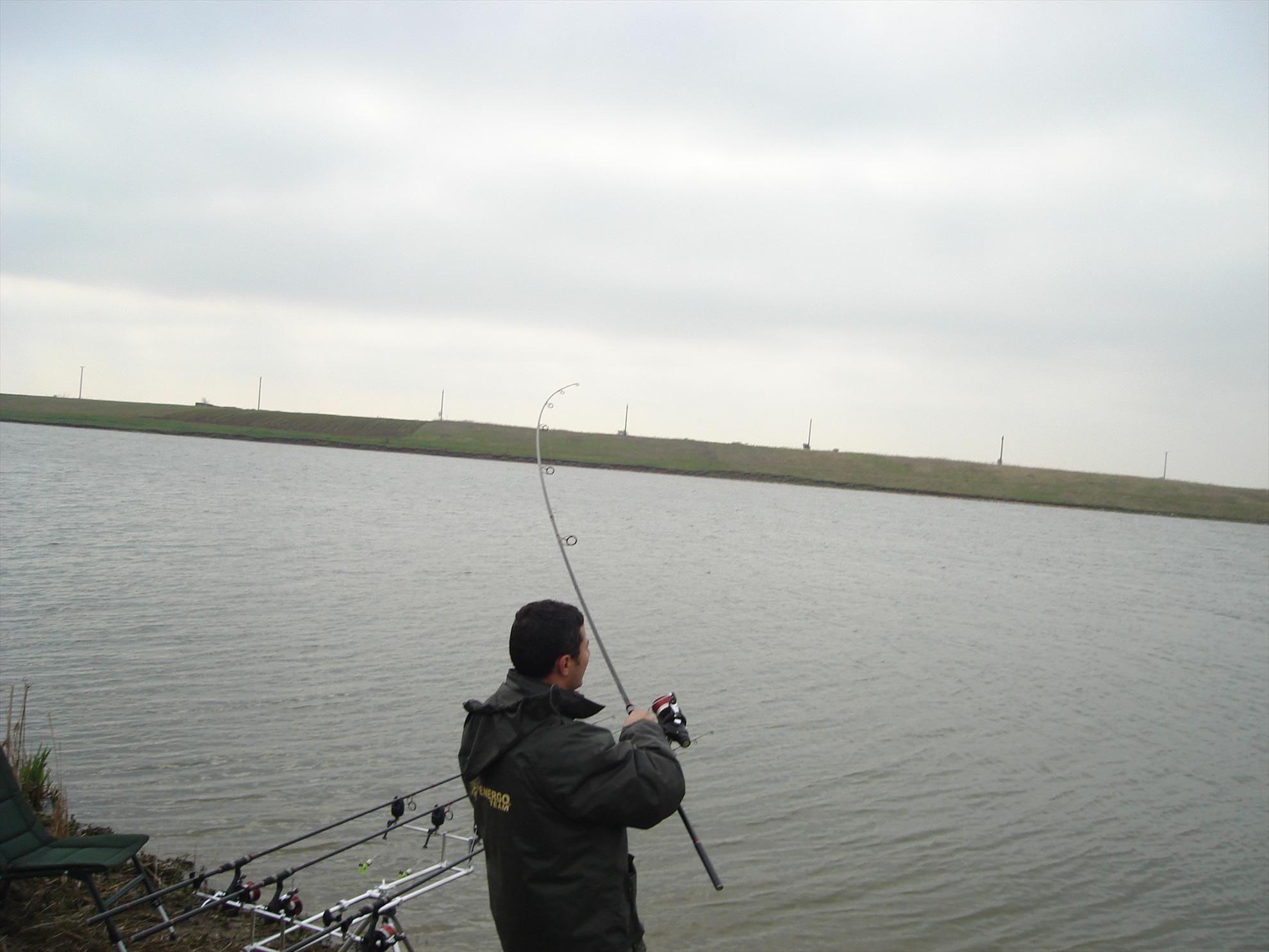 Hobaia - dsc01616.JPG